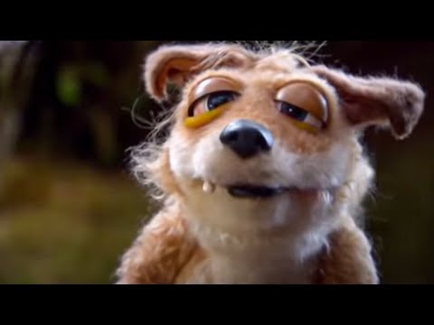 The Runt Gets Examined | Mongrels | BBC Studios
