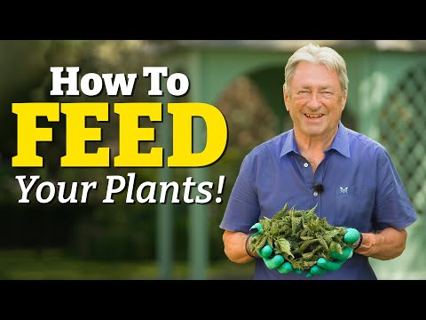 Feed Your Plants the Right Way - Healthier Soil, Happier Garden!