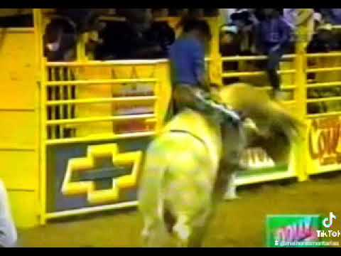 ROMILDO MONTEIRO FÉLIX X PASSARELA - RODEIO DE PRESIDENTE PRUDENTE 2001