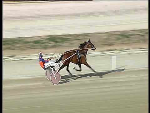 Trotto 01/03/2019 - prova di qualifica