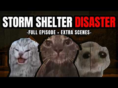 Cat MEMES:  DISASTER AT THE SHELTER FULL EPISODE + EXTRA SCENES  | FAMILY ROADTRIP SPECIALS