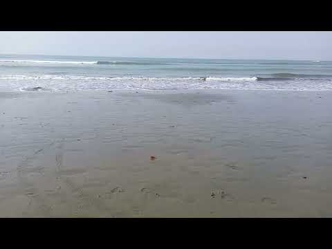 Cox's Bazar Sea Beach 🏖️⛱️