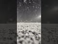 Snowflakes Are Kisses From Heaven Shorts Snow Snowfall Video Snowdrop