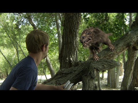trailer