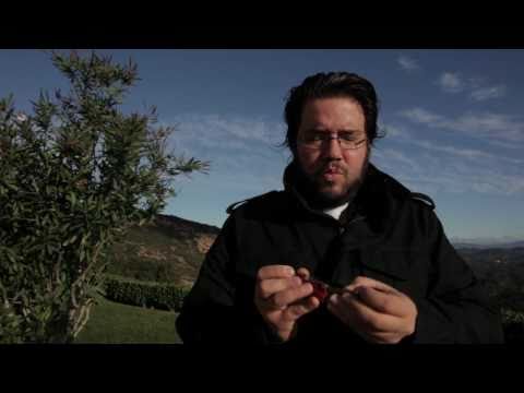 Old, Old, Old School Rock Stars!!