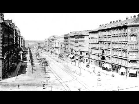 Habsburgs - Vienna Final Project