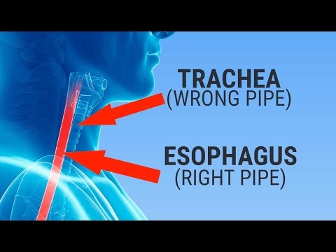 What happens when you swallow something down the 'wrong pipe'