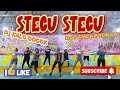 STECU STECU DJ KALO COCOK DATANG KE RUMAH KREASI SENAM SS CANTIK