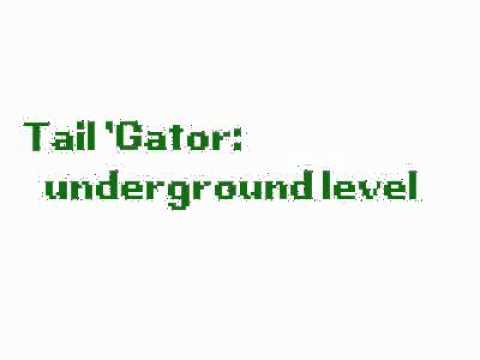 Tail Gator Game Boy