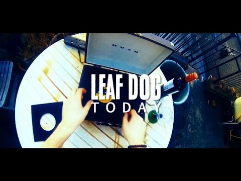 Leaf Dog - Today