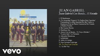 Juan Gabriel - Te Doy las Gracias (Cover Audio)
