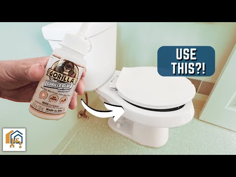 Part of a video titled How to Fix a Loose or Wobbly Toilet Seat FOREVER - YouTube