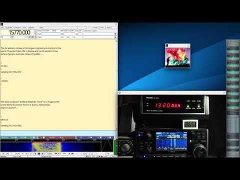 Shortwave Radiogram #288 Jan 20 2023 on 15770Khz Shortwave Radio R8600