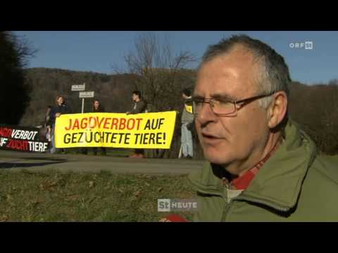 Proteste gegen Jagd ORF STEIERMARK HEUTE