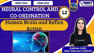 Sankalp: Neural Control and Co-Ordination L-2 | NEET Toppers | Garima G. video