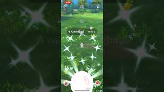 New shinny and it was from the research task 😍 #pokemongo #shinypokemon #fypage  #catchthemall