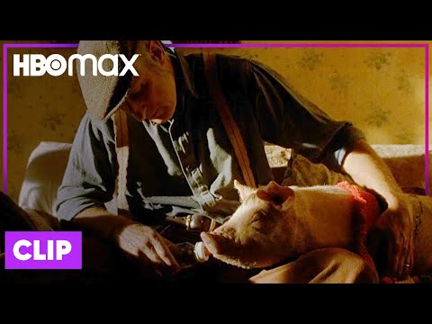 Babe Is Lost | Babe | HBO Max Family