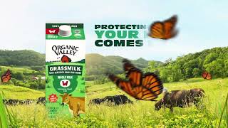Organic Valley Cows Eating Grass = More Nutrients Glass (2025 Promo Video)