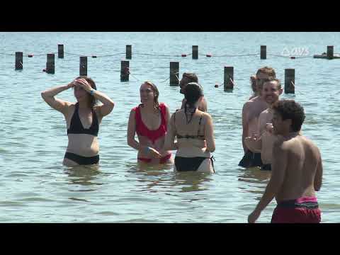 Blaarmeersen heringericht