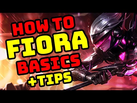 How to FIORA - Basics Guide