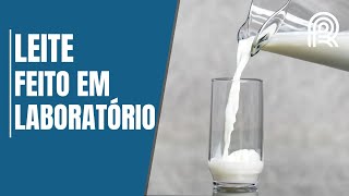 Miniatura do vídeo