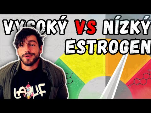 Vysoký Estrogen Vs Nízký Estrogen | Jak Se Na Něm Cítím ?
