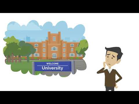 Magnum Insight Immigration, Inc video.