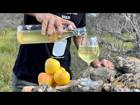 SIDRO di MELE fatto in casa