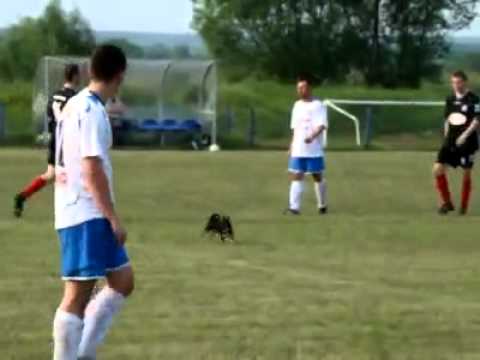 Mewa Krubin vs Wisła Jabłonna  2-1 . Niesygnalizowana zmiana zawodnika xD