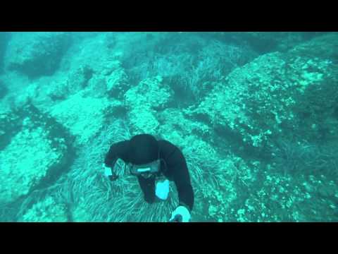 Freediving Pelješac 2015