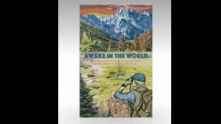 AWAKE IN THE WORLD
