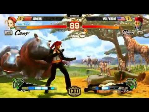 CEO2016 USF4 Winners Top 8 - XIAO HAI vs WOLFKRONE