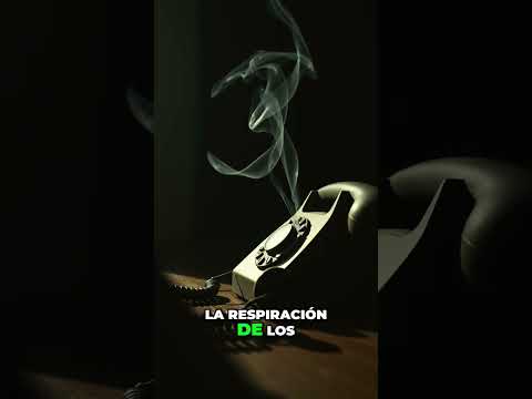 Cabina 412: El vacío sónico que se tragó a Elías #shorts