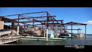 Miniature de la vidéo