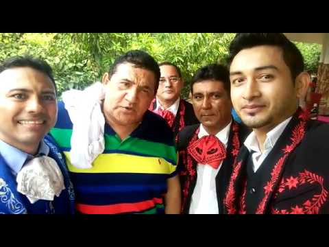Imagen de previsualización de YouTube