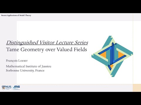 Tame Geometry over Valued Fields