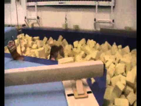 Trainingscamp TV Rodenkirchen