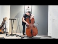 Cranes - Watersong / Jean-Baptiste Salles Double Bass cover