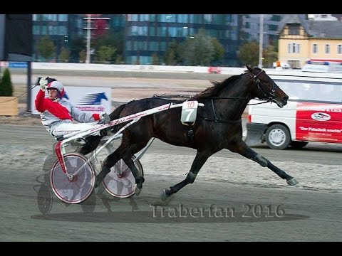 Graf Kalman Hunyady-Gedenkrennen 2016 - Stark Bi / Rudi Haller