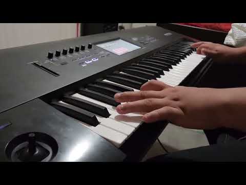 Que bello Cover Korg Nautilus Korg N264/364