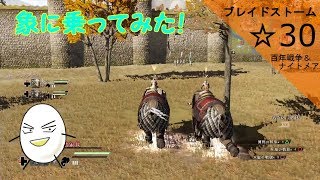 【ブレイドストーム　百年戦争＆ナイトメア】☆30　傭兵将軍目指してプレイ【ゲーム実況】