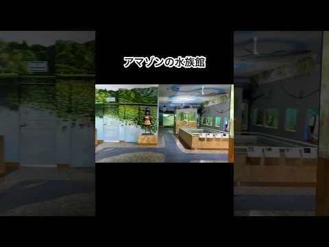 アマゾンの水族館に行ってきました #shorts