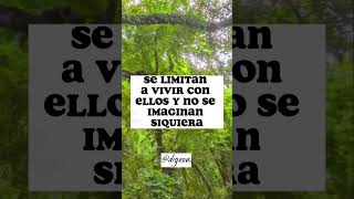 DESGACER NUDOS Y BLOQUEOS