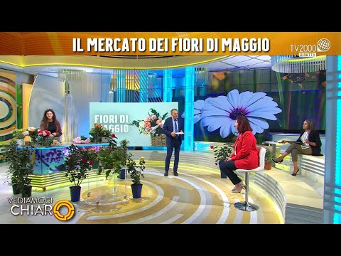 Vediamoci chiaro, 23 maggio 2022 - Fiori: tutti i colori della primavera