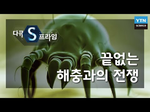 , title : '끝없는 해충과의 전쟁 [다큐S프라임] / YTN 사이언스'