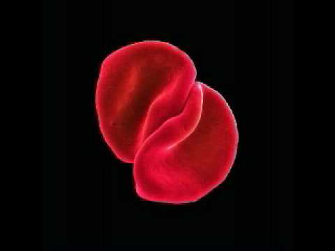 Peter Gabriel - Listening Wind