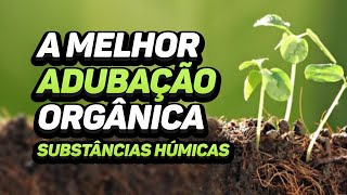 COMO ADICIONAR SUBSTÂNCIAS HÚMICAS NO SOLO