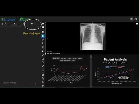 VolView Insight MedGemma Integration