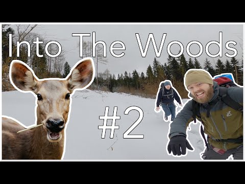 Into The Woods #2 | Mit Sommerschlafsack im Schnee übernachten