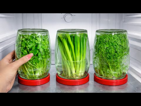 Küchentricks, die du kennen musst! 14 schnelle und geniale Tricks, die wie Magie wirken | Linda Home